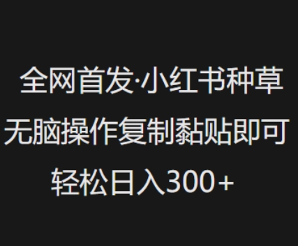 全网首发，小红书种草无脑操作，复制黏贴即可，轻松日入3张-柚子网创