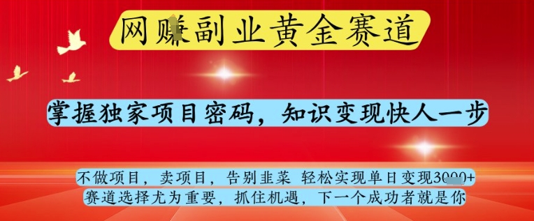 网创副业黄全赛道，掌握独家项目密码，知识变现快人一步，告别韭菜轻松实现单日变现1k+【揭秘】-兔兔网创