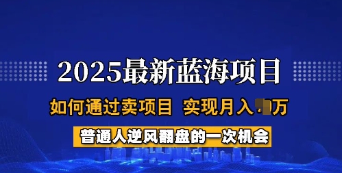 2025蓝海项目，普通人如何通过卖项目，实现月入过W，全过程【揭秘】-兔兔网创