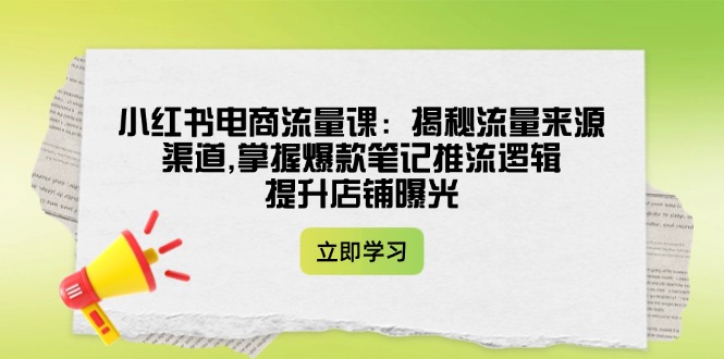 （14318期）小红书电商流量课：揭秘流量来源渠道,掌握爆款笔记推流逻辑,提升店铺曝光-兔兔网创