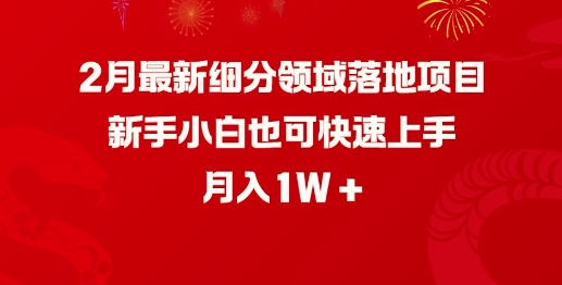 2月最新细分领域落地项目，新手小白也可快速上手，月入1W-兔兔网创