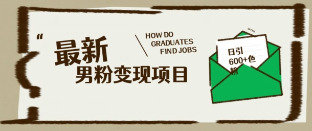 最新男粉变现项目，日引100+S粉，流量爆炸，小白轻松上手-兔兔网创