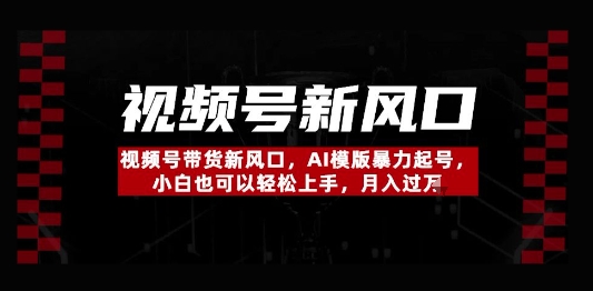 视频号带货新风口，AI模版暴力起号，小白也可以轻松上手，月入过W-柚子网创