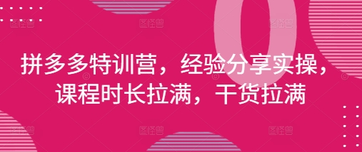拼多多特训营，经验分享实操，课程时长拉满，干货拉满(更新25年4月)-柚子网创